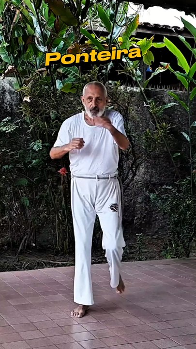 Capoeira - Dicionário de movimentos