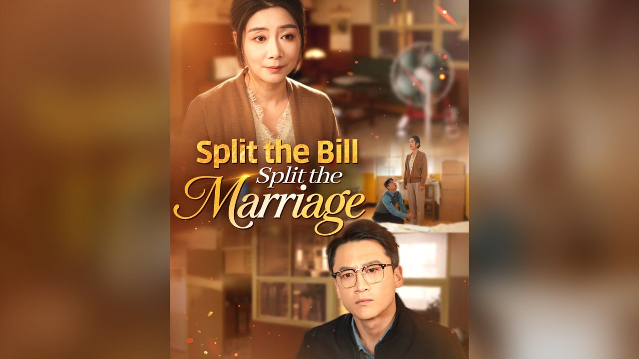 Split The Bill, Split The Marriage Full Chinese...