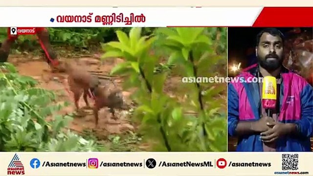 മണ്ണിടിച്ചിലിൽ കാണാതായവർക്കായുള്ള തെരച്ചിൽ തുടരുന്നു; അഞ്ച് പേരും കമ്പനി ജീവനക്കാർ