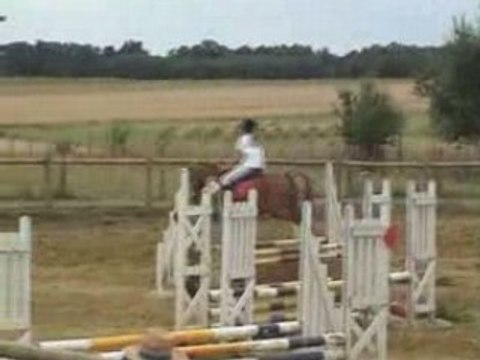 Concours Le Plessi Illico CSO 29/06/08