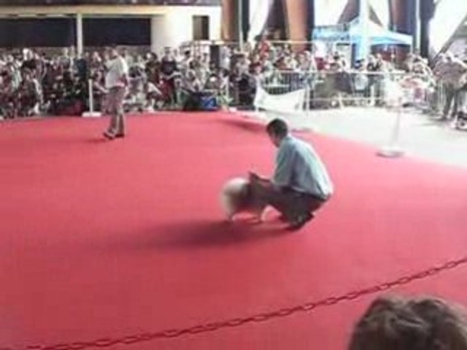 MOV025