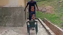 I just over 7 chairs