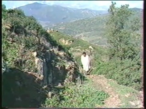 musique kabyle rachid babaci ay afrux