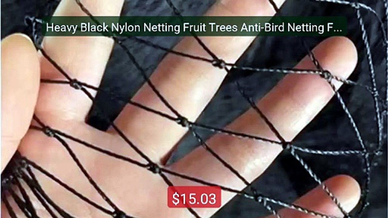 Heavy Black Nylon Netting Fruit Trees Anti-Bird Netting Fishin... -- Best Buy 2026 | Great Quality!