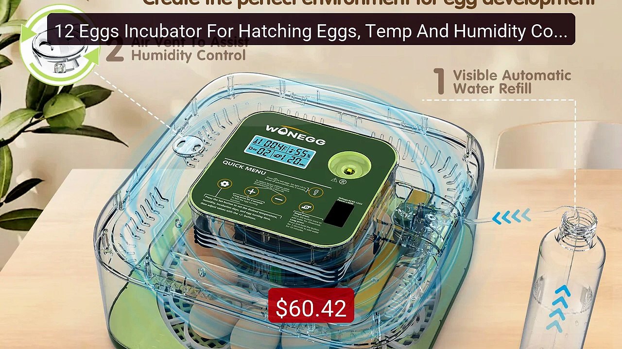 12 Eggs Incubator For Hatching Eggs, Temp And H...