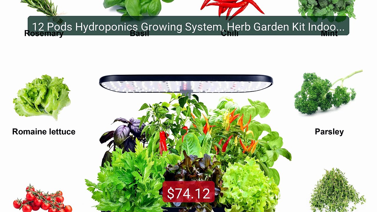 12 Pods Hydroponics Growing System, Herb Garden Kit Indoor Adj... -- Hot Deal 2026 | Limited Offer!