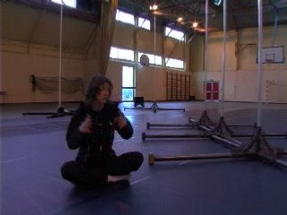 sylvie guillermin 1
