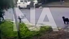 El momento en le que secuetró a la nena