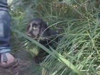 Vidéo diwell 30 juin 2008_0001