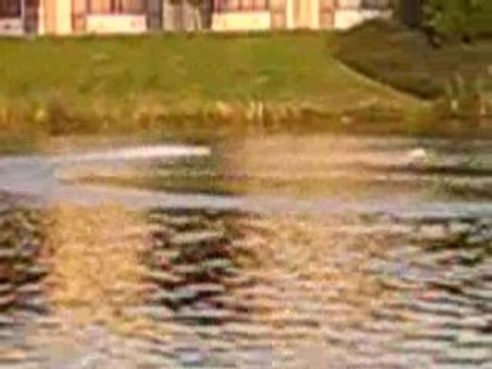 Bateau dolphin brusless 008