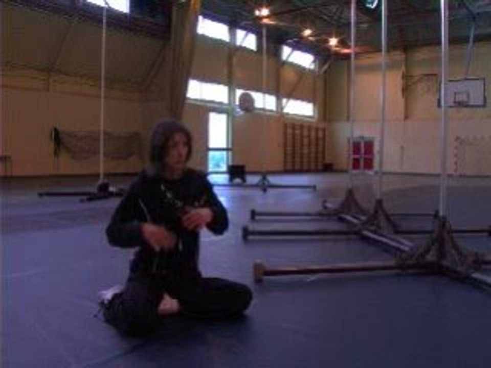 sylvie guillermin 5