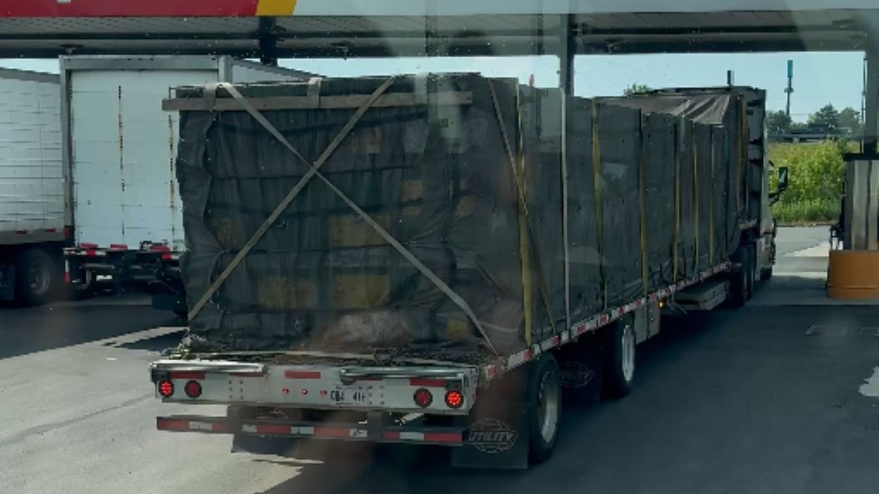 Unbelievable: Trucker Encounters Bee Swarm at Abandoned Truck Stop