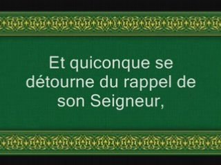 Sourate 72 : Les djinns - avec trad Francais - Shuraim