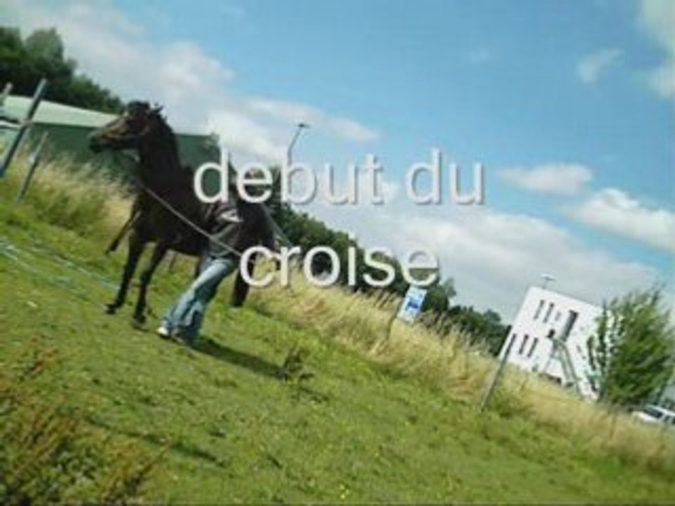 29 juin_0001