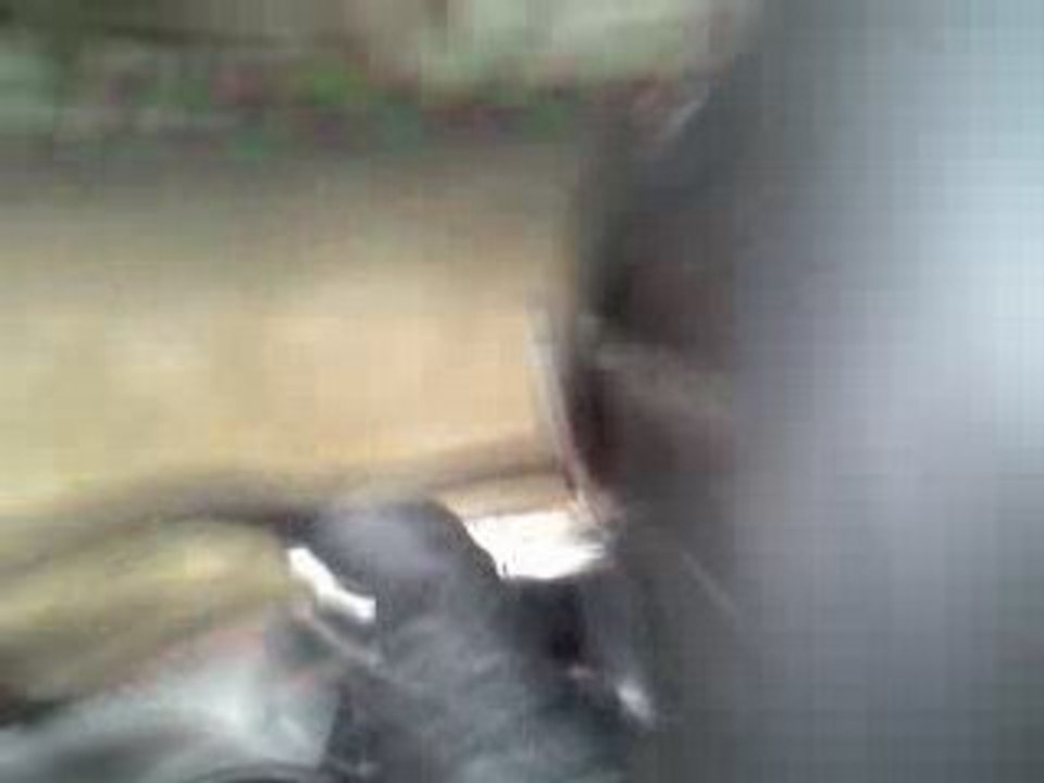 karting snako