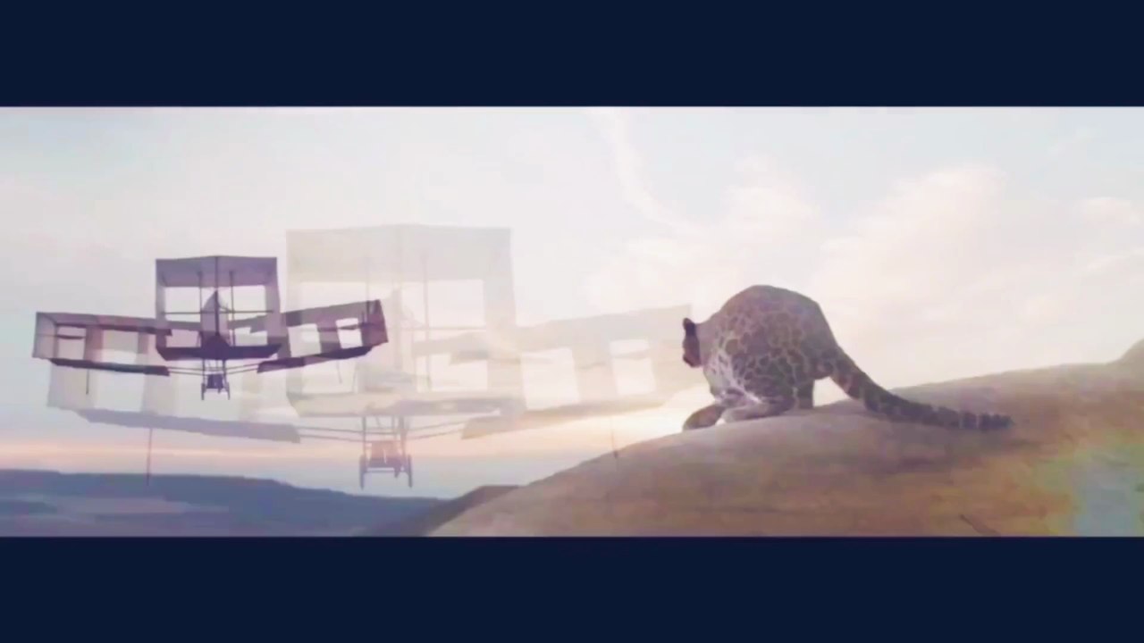 🐯💍...(3)