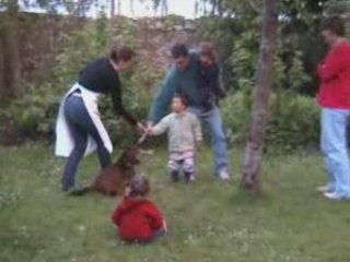 05 04 Petits jeux avec Viking