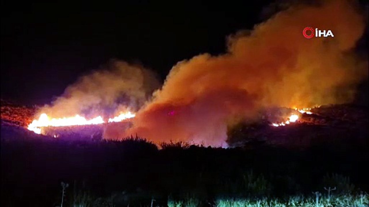 Bodrum’da makilik alanda yangın!