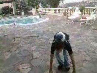 sef-you en freestyle