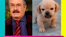Pedro Sola pide perdón tras la polémica por sus comentarios contra los perritos