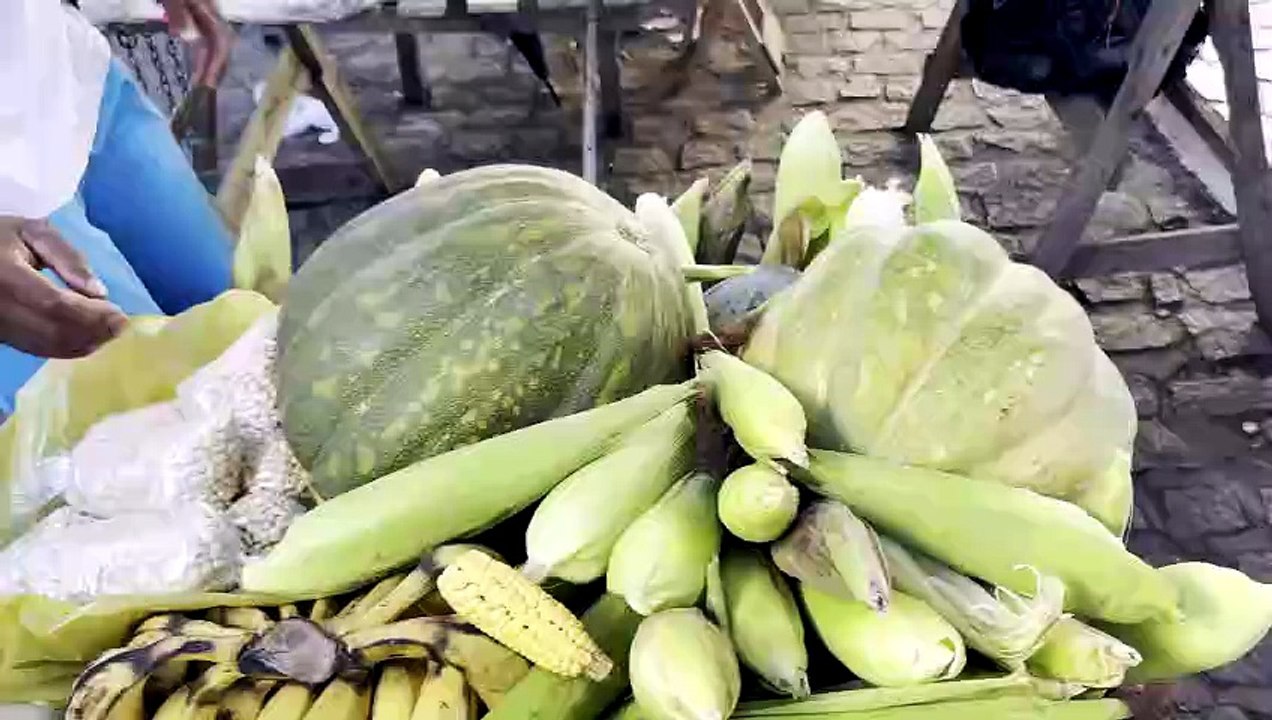 A agricultura familiar