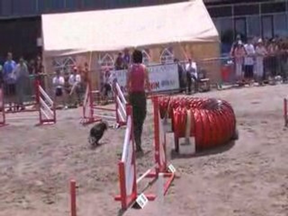 Vodka-jumping Malo