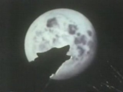 Loups Garou, Sorcieres et Vampires - 1 de 3