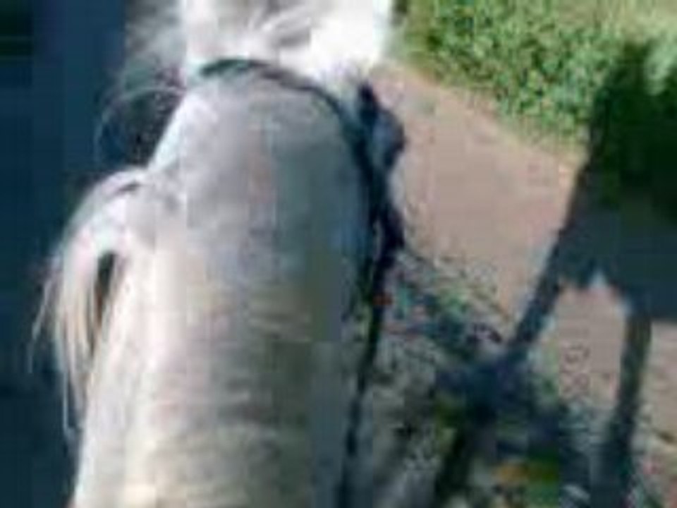 Vidéo059