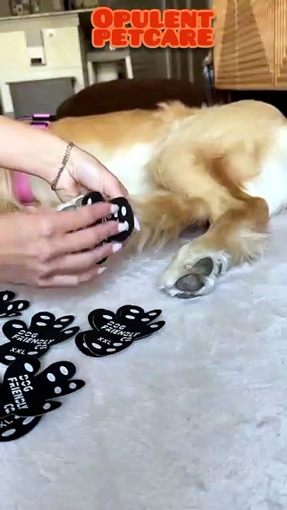 Non-Slip Dog Paw Grip Pads – Breathable Anti-Slip Pet Insoles for Indoor Floors