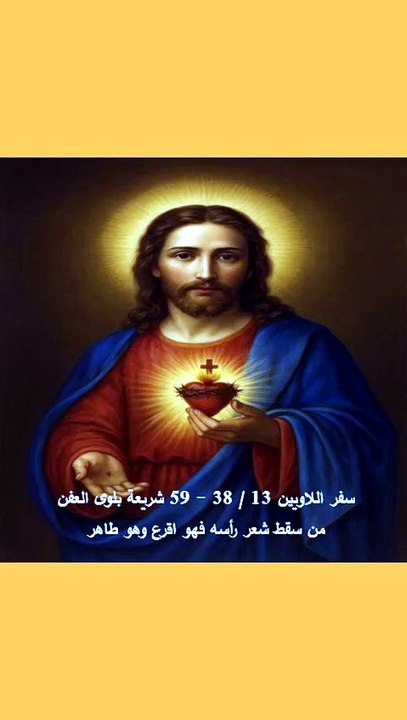 اللاويين فصل 13 شريعة بلوى العفن