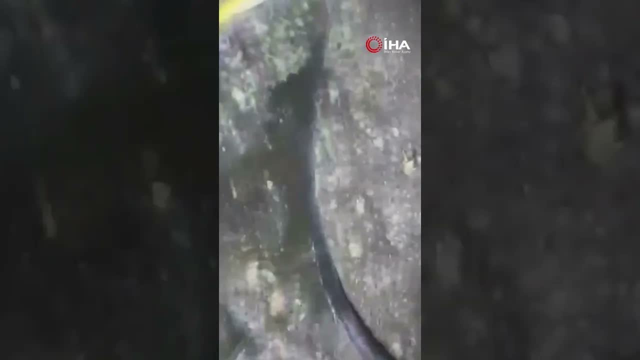 Patlayan Buzdolabı Mutfağı Harabeye Çevirdi!