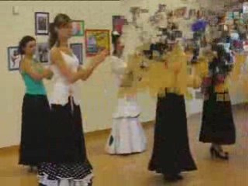 Flamenco   à Versailles  Juin 2008