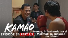 Kamao: Nonoy, inihahanda na si Makmak sa susunod na laban! (Episode 34 - Part 1/3)