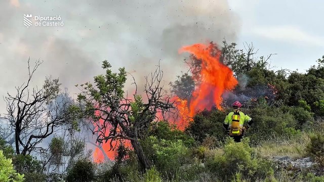 Bomberos de Castellón estabilizan un incendio de vegetación en Peñíscola