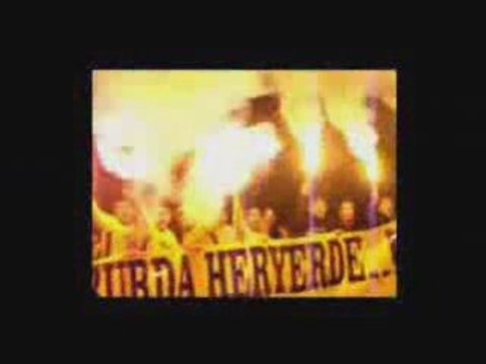 Gfb