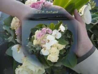 Mariage francko amelie!!!