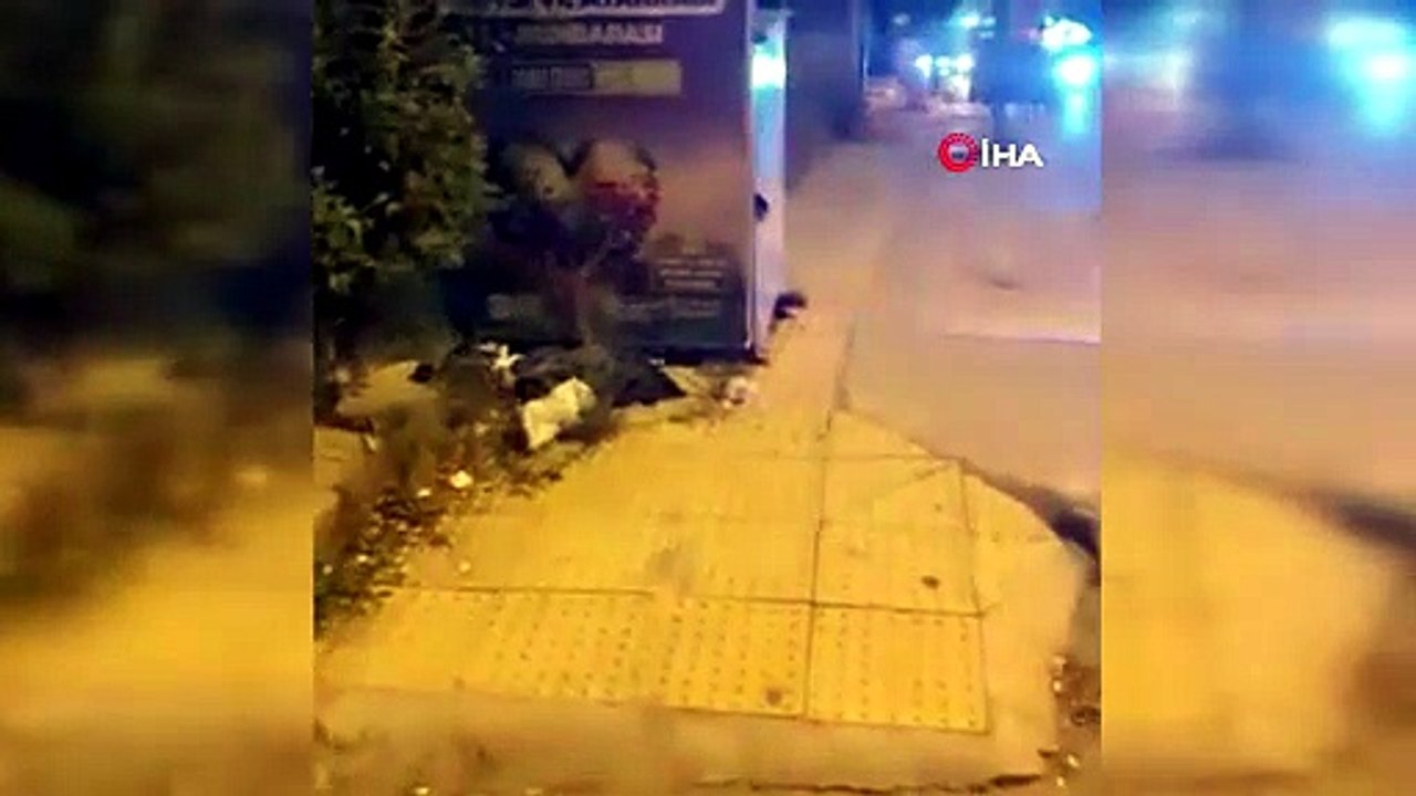 Yalova Şehir Merkezinde Sansar Sürprizi