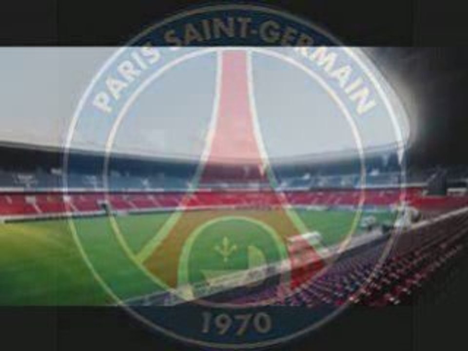 Ligue 1 2008-2009