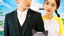 My Boss Is Just a Cat - Full HD