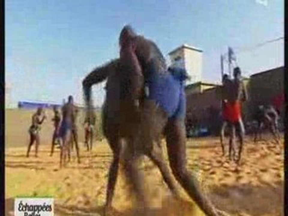 Lutte Traditionelle Senegalaise (Senegal)