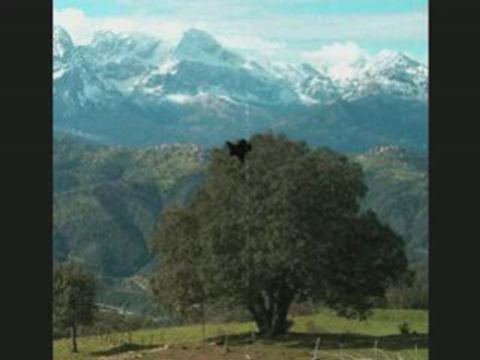 Algérie 2