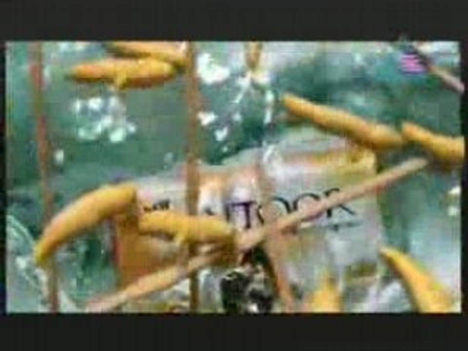 ST -- 2008-07-02 Pt02.mp4