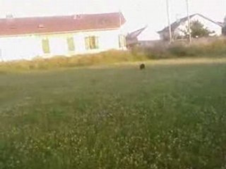 chico o ballon