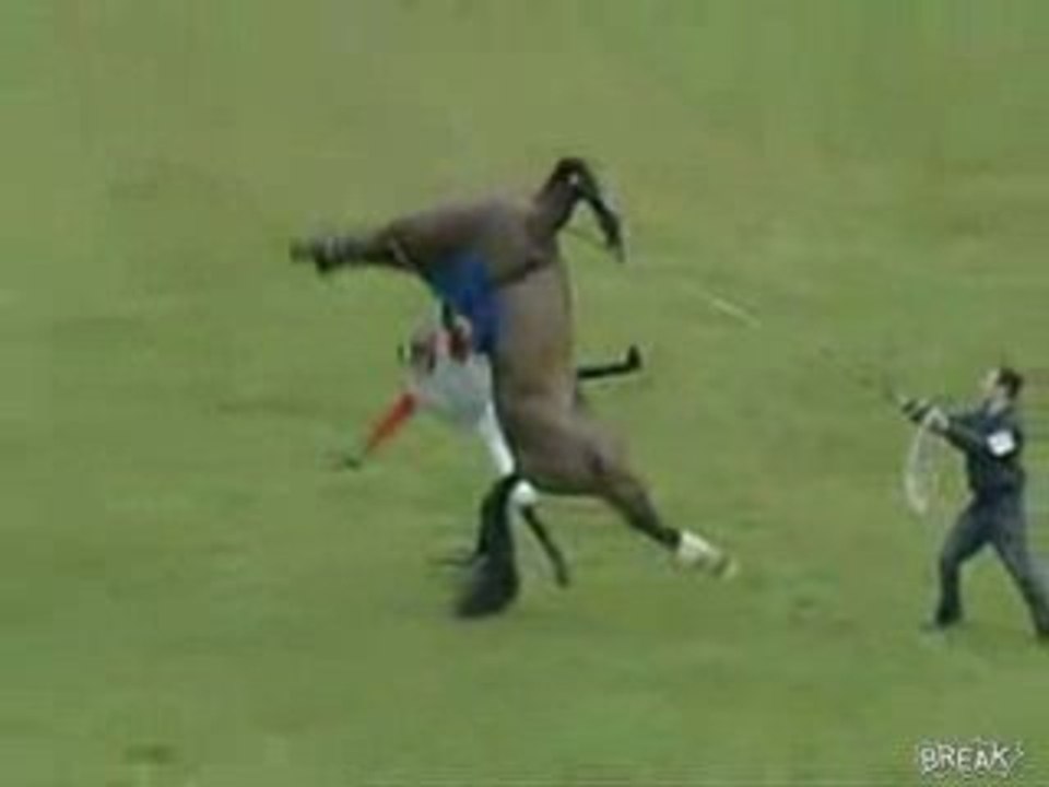 cavallo imbizzarrito d'improvviso