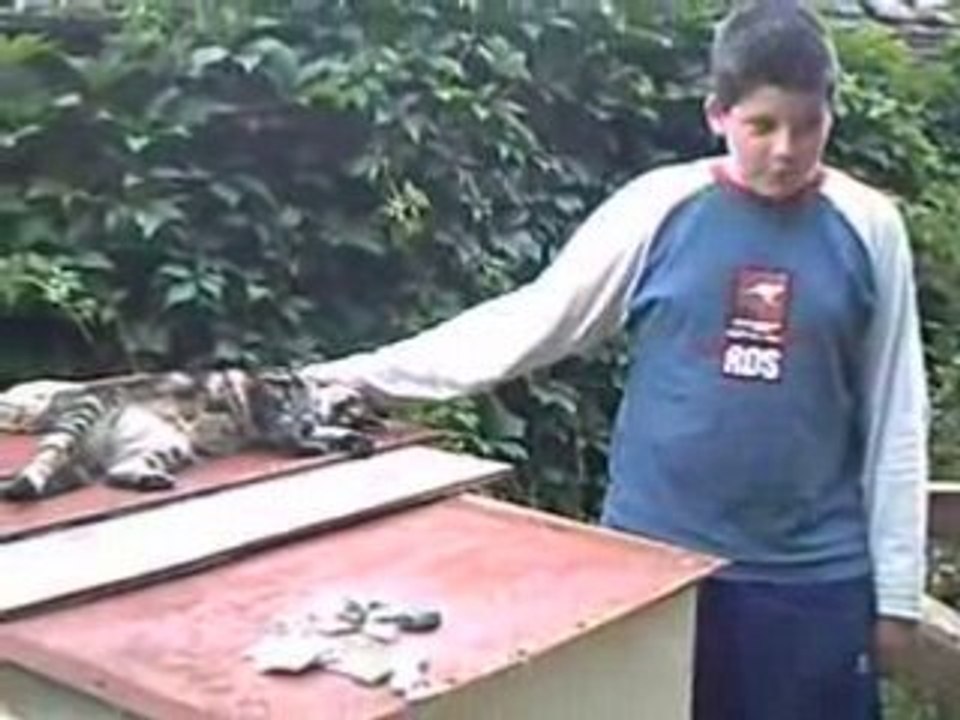 Les enfants lors de la Fête de la musique 2008