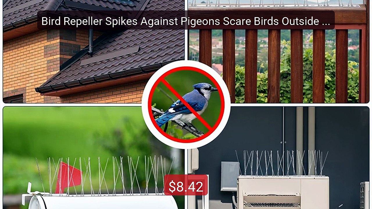 Bird Repeller Spikes Against Pigeons Scare Birds Outside Ou... -- Top Pick 2026 | Unbeatable Price!