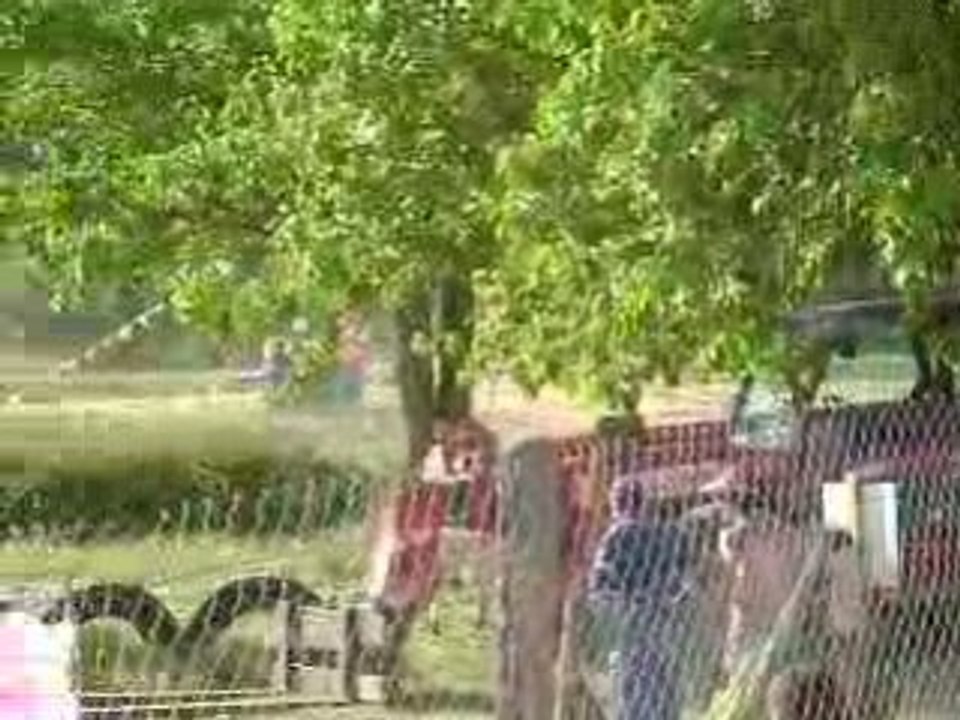 Auto terre saulnay 29 juin