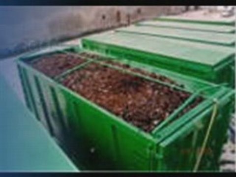 Raccolta differenziata: l'organico