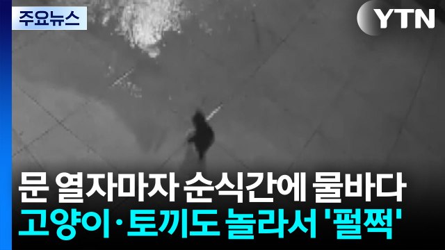 문 열자마자 순식간에 물바다...고양이·토끼도 대피 [제보영상] / YTN