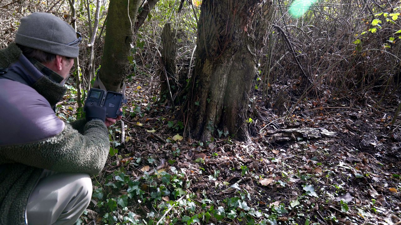 Gamechanging 4k WiFi Trailcam : MAXDONE Wildlif...